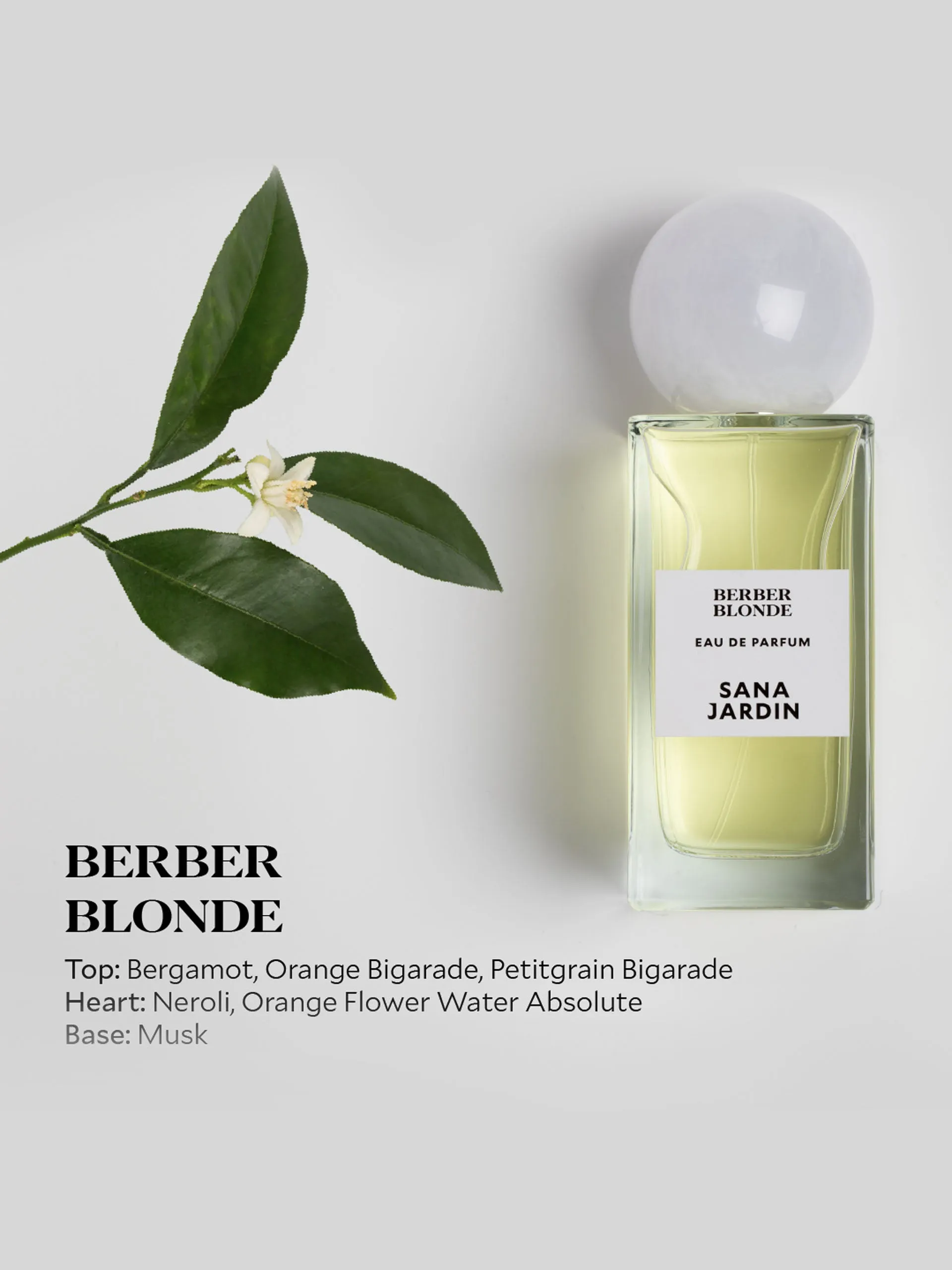 Berber Blonde eau de parfum