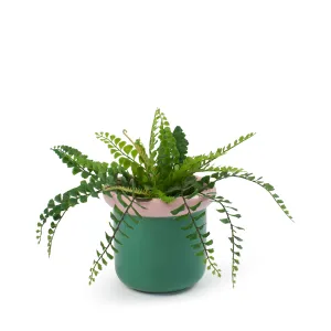 Cleo Planter 16 x 14.5cm - Green