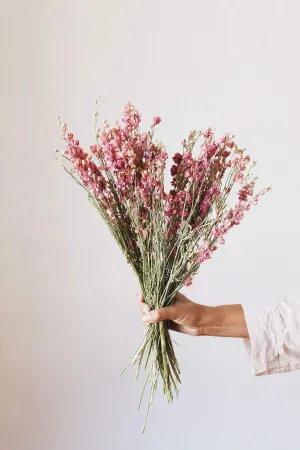 Dried Pink Larkspur