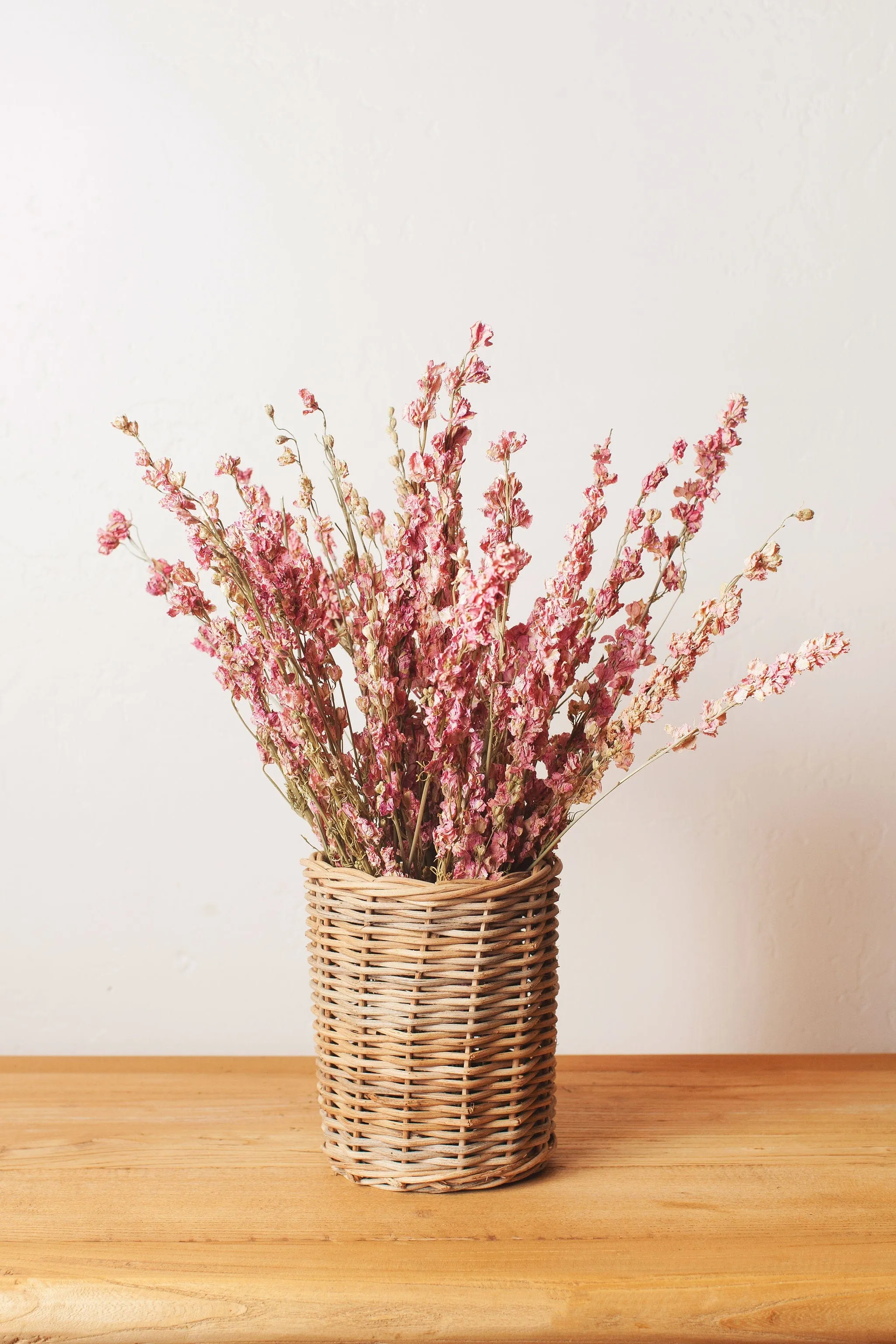 Dried Pink Larkspur