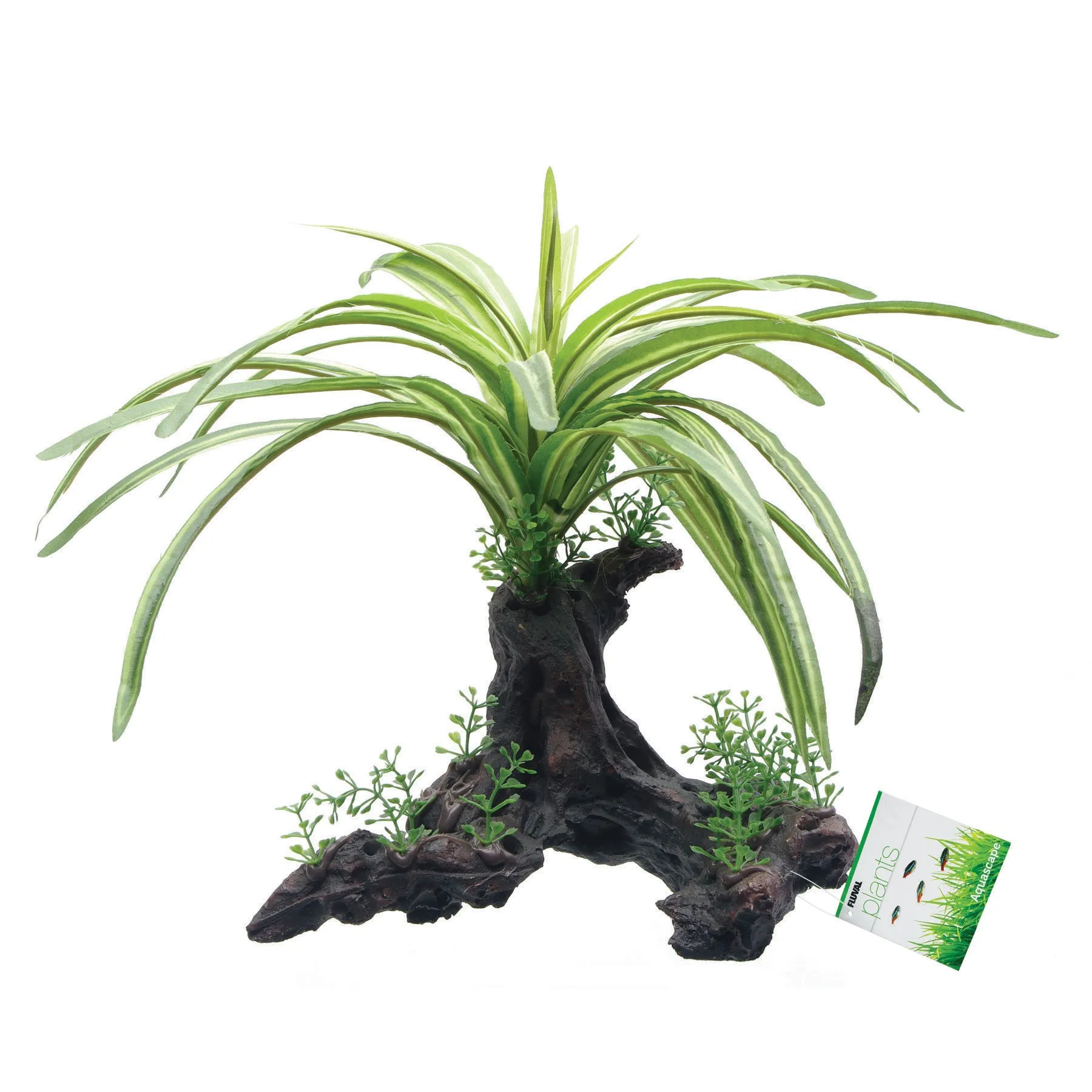 Fluval Fountain Plant on Root 10 Inch