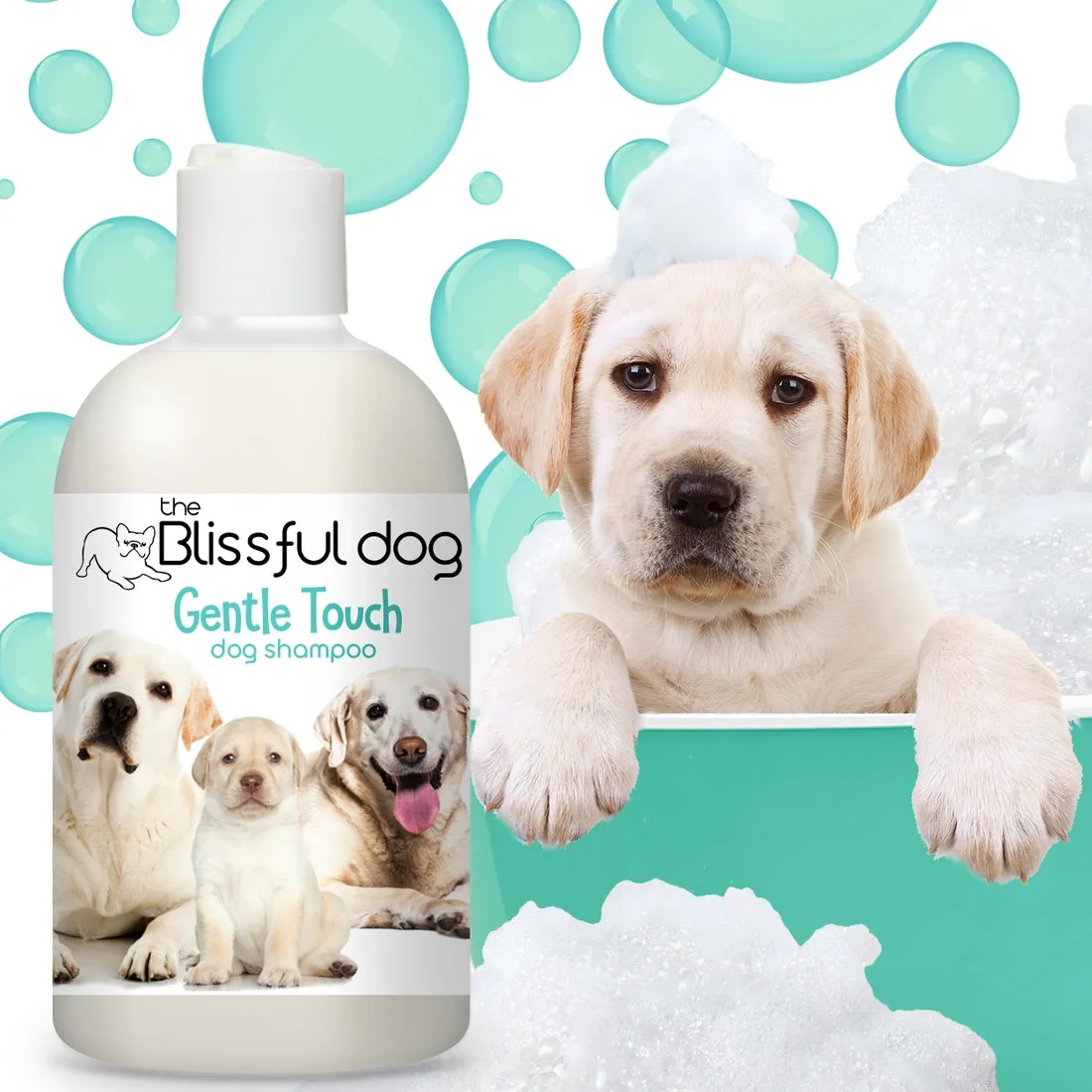 Gentle Touch Shampoo for Puppies, Sensitive Dogs & Seniors