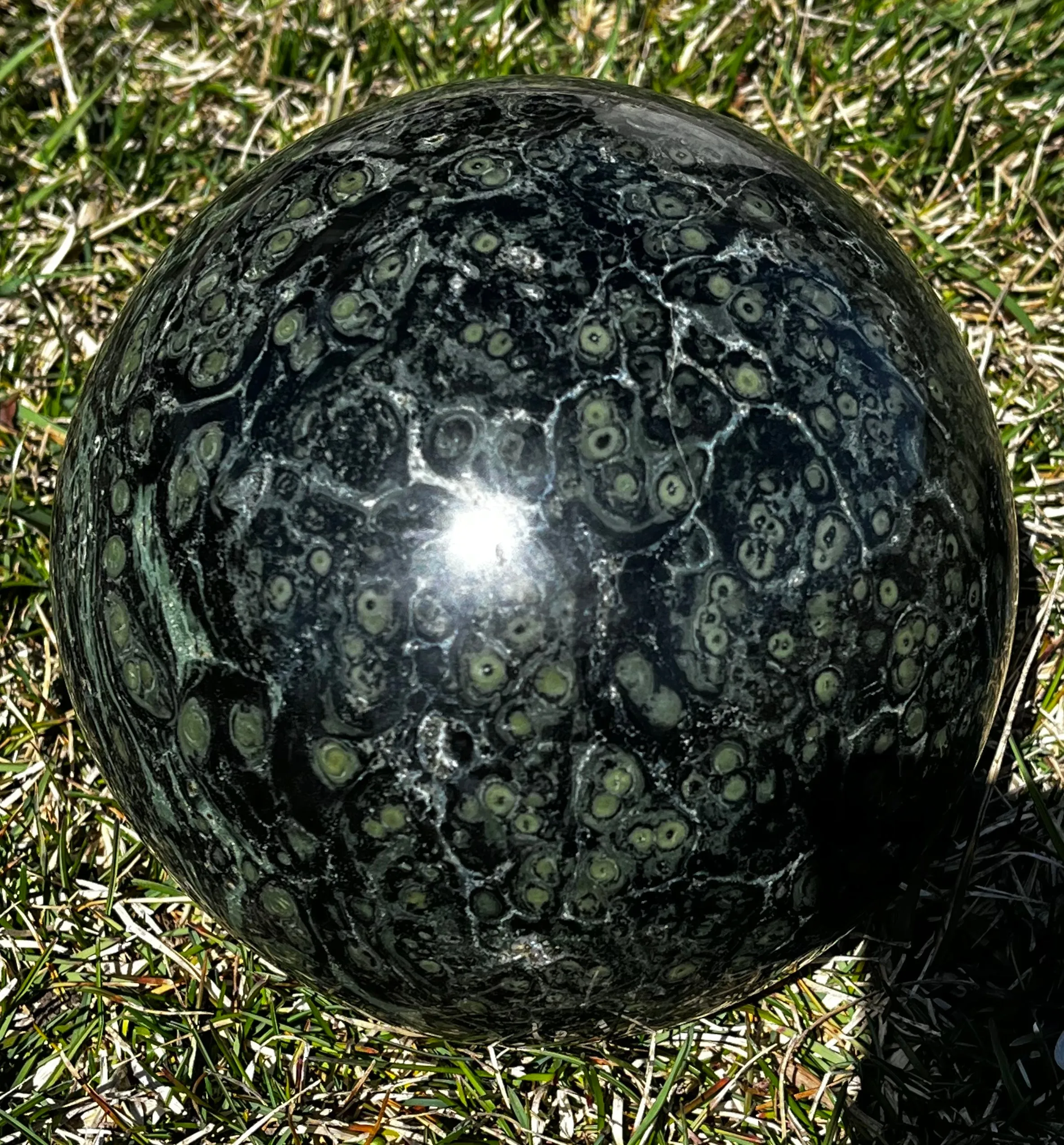 Huge Kambaba Jasper Sphere, with spinning stand!