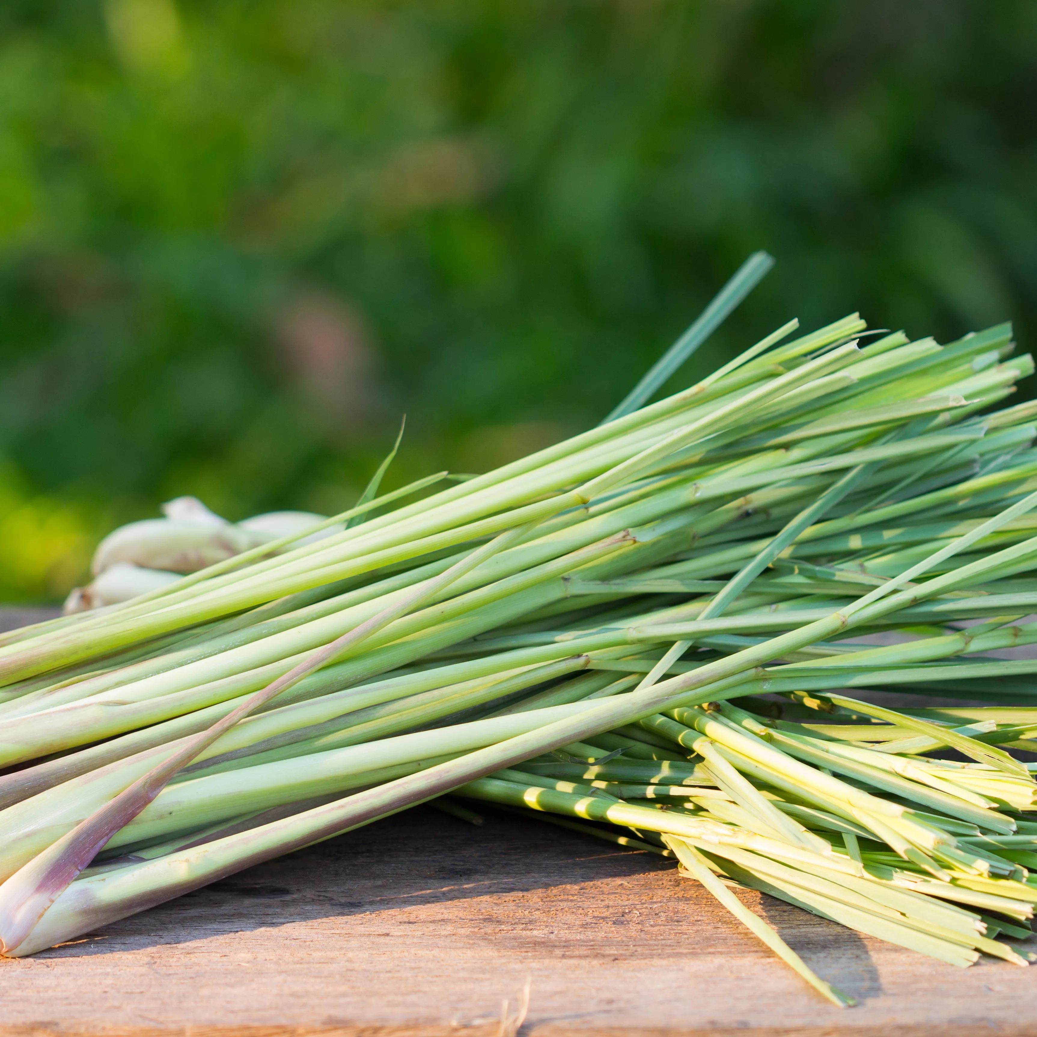 Lemongrass Essential Oil