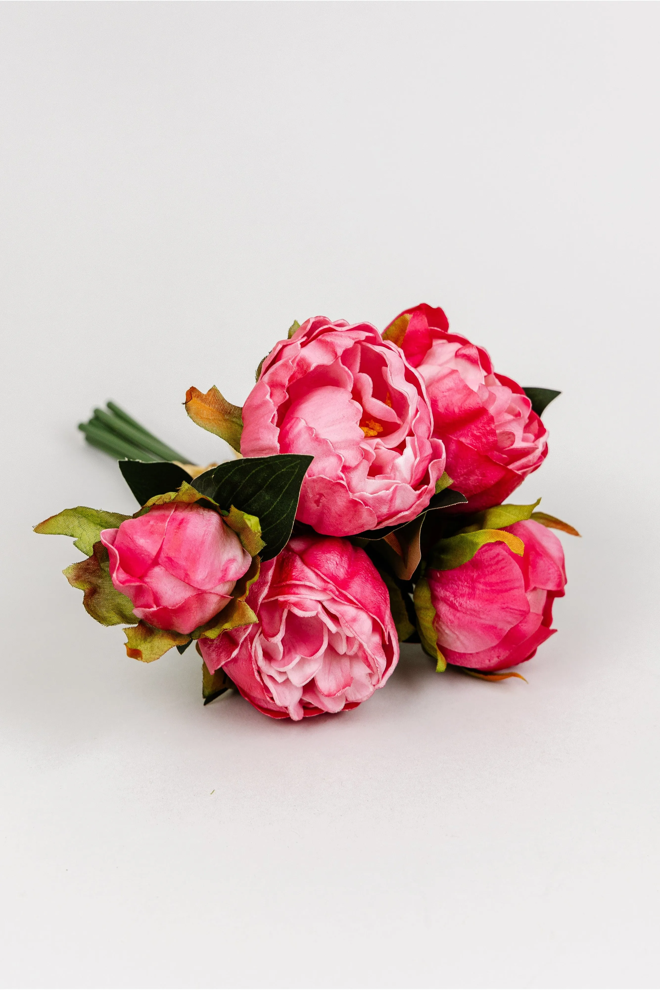 Peony Bundle