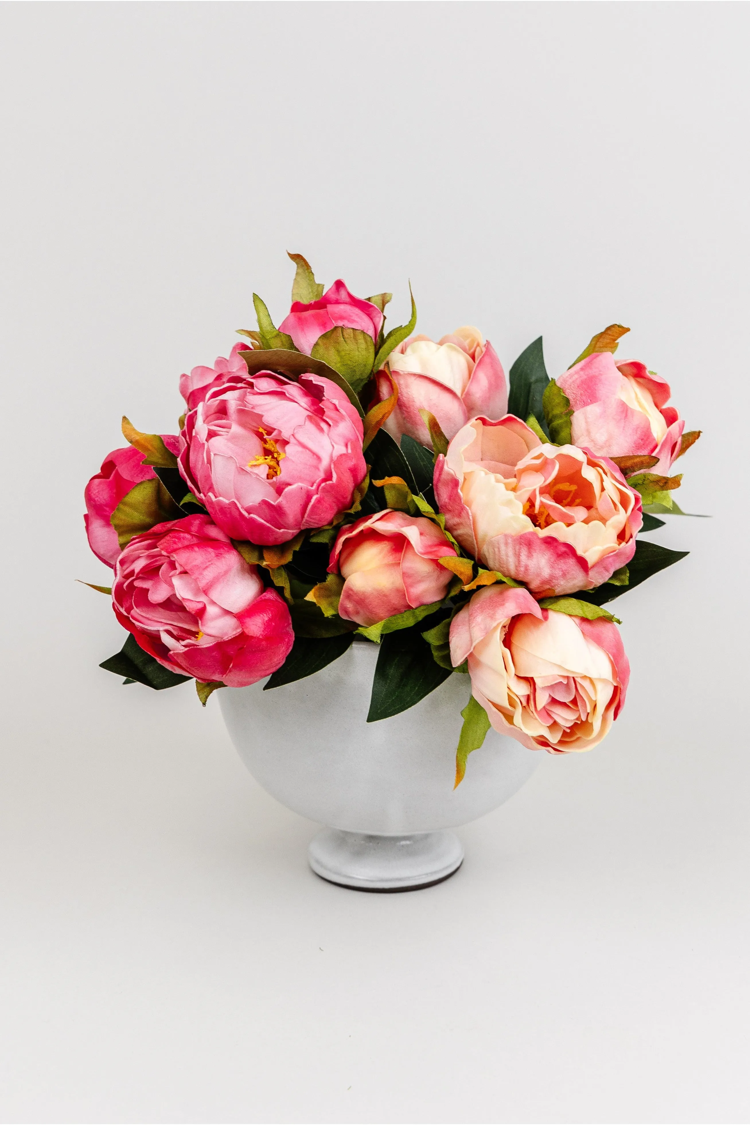 Peony Bundle